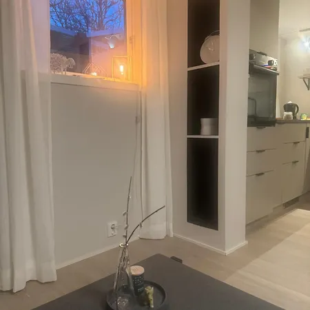 J35 1 Bed Near Centre Trondheim